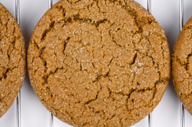 Ginger Molasses Cookie