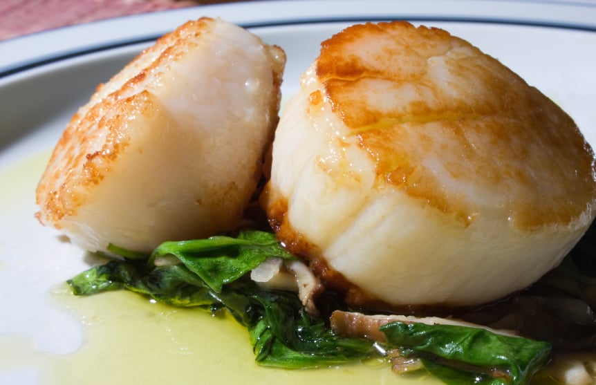 scallops