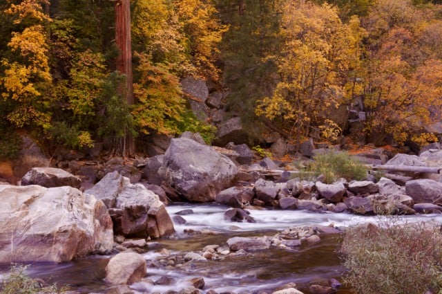 Merced River, Yosemite, Fall