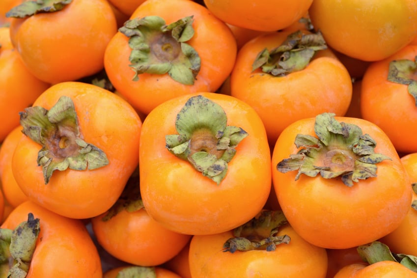 Persimmons