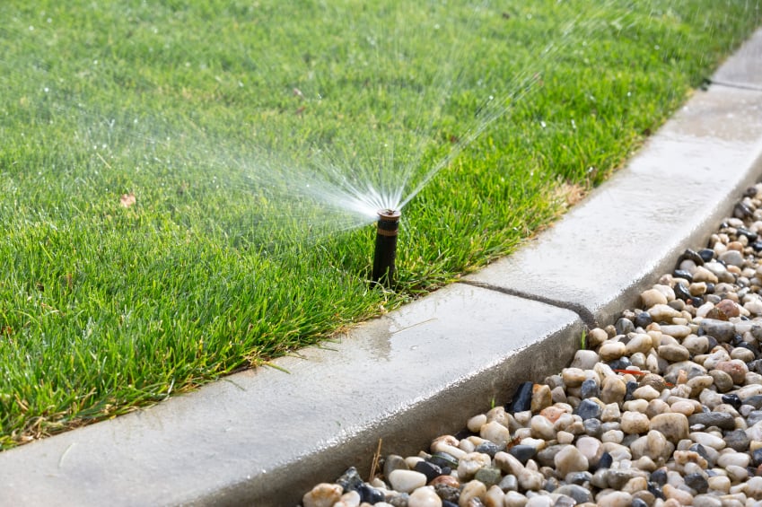 A sprinkler in a well-manicured lawn