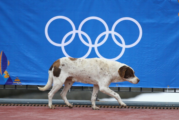 Source: Al Bello/Getty Images