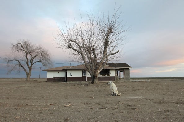 BAKERSFIELD, CA - FEBRUARY 6: A dog hangs around an abandoned farmhouse on February 6, 2014 near Bakersfield, California. Now in its third straight year of unprecedented drought, California is experiencing its driest year on record, dating back 119 years and possible the worst in the past 500 years. Grasslands that support cattle have dried up, forcing ranchers to feed them expensive supplemental hay to keep them from starving or to sell at least some of their herds, and farmers are struggling with diminishing crop water and whether to plant or to tear out permanent crops which use water year-round like almond trees. About 17 rural communities could run out of drinking water within several weeks and politicians are pushing to undo laws that protect several endangered species. (Photo by David McNew/Getty Images)