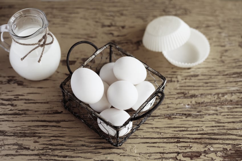 eggs in a wire holder