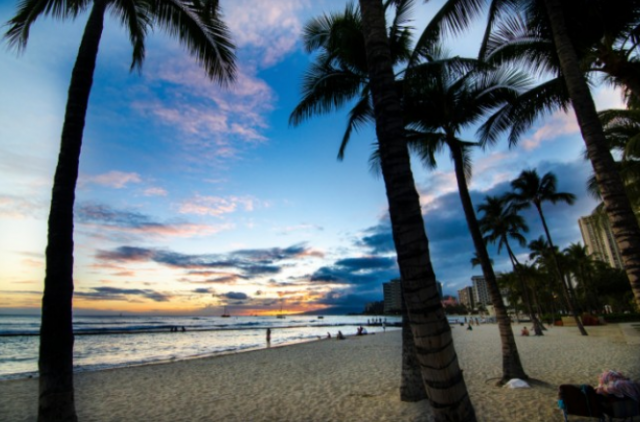 A Honolulu beach