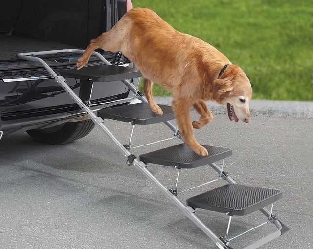 pet staircase (640x510)
