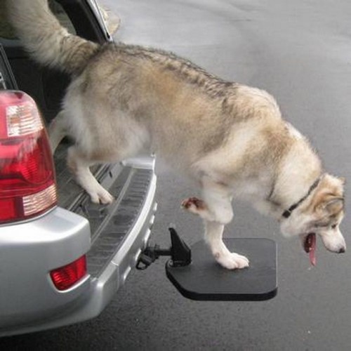 pet step (640x640)