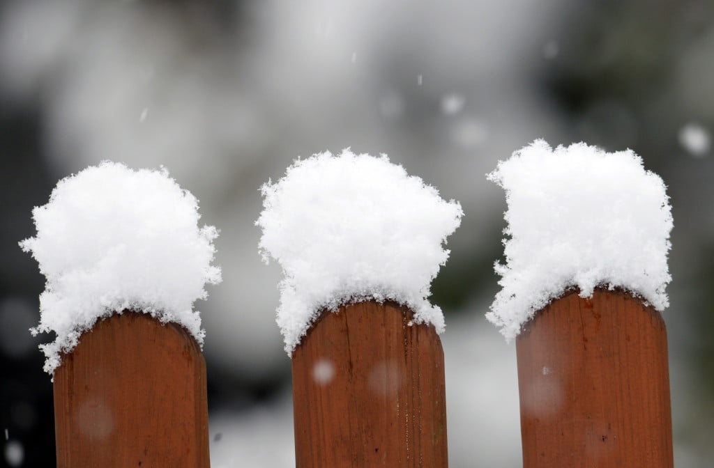 Everything You Need to Know About Installing a Fence in Winter