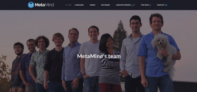 MetaMind team
