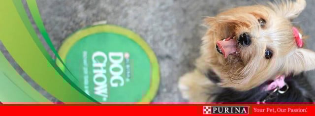 Purina logo
