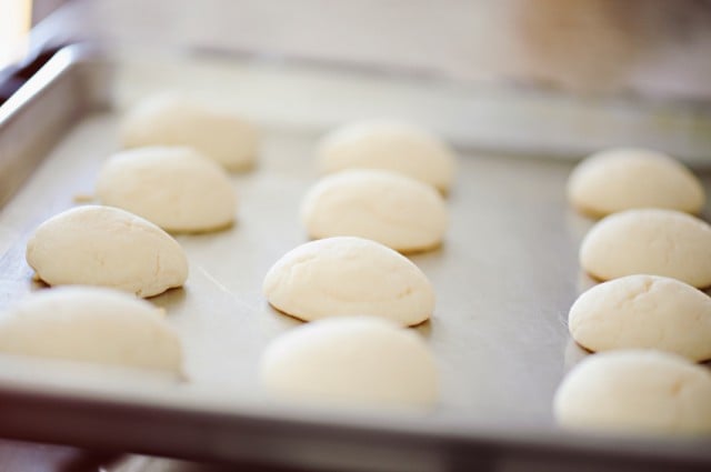 Sugar Cookie Dough