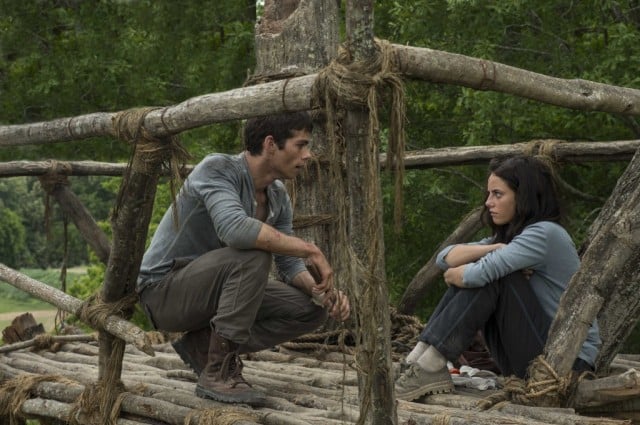 Maze Runner