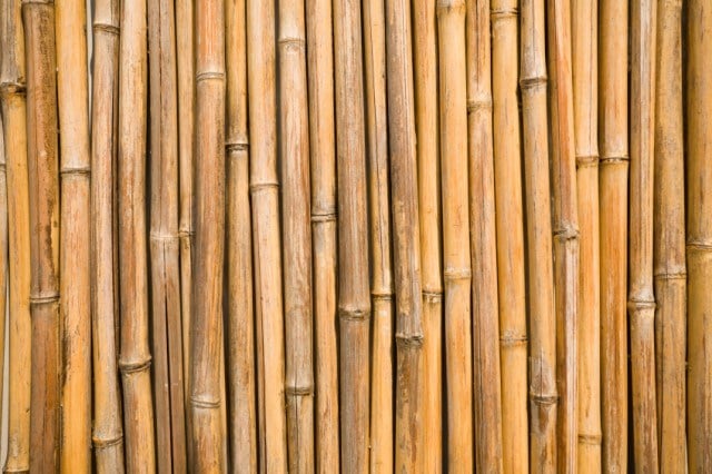 bamboo wall