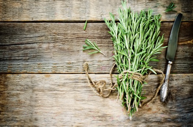 Fresh bundle of rosemary