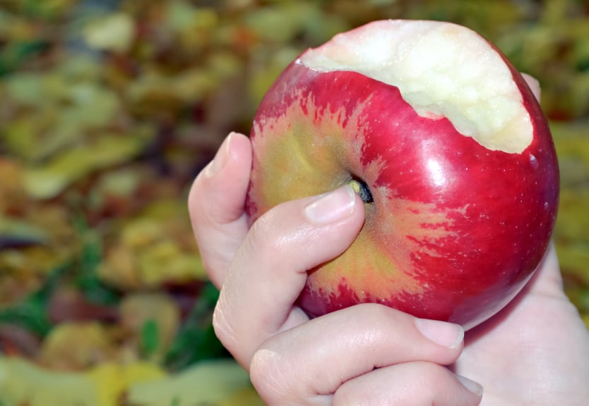 Bitten apple