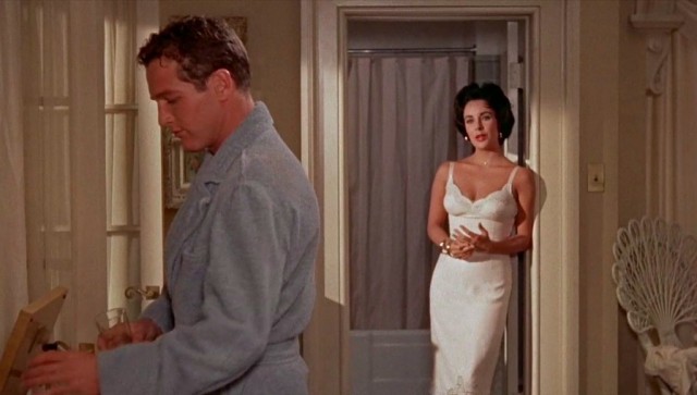 Cat on a Hot Tin Roof
