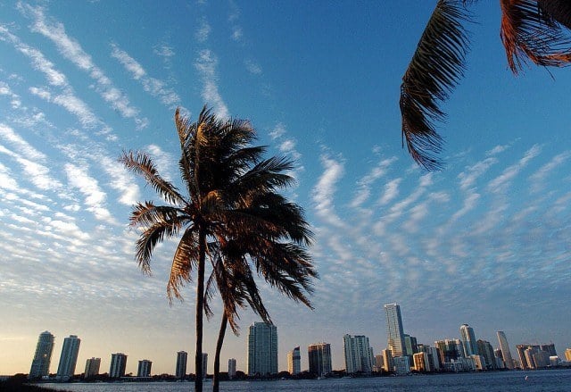 miami florida skyline