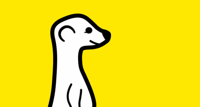 Meerkat app
