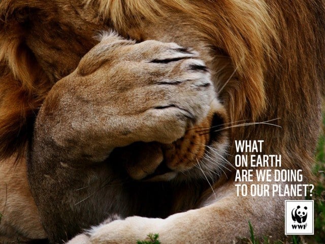 Source: WWF