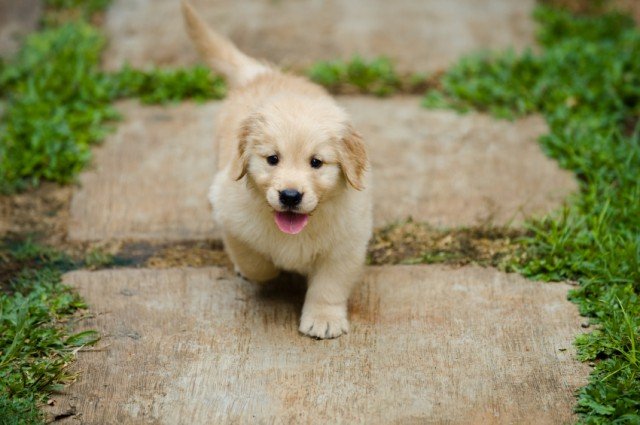 Source: iStock