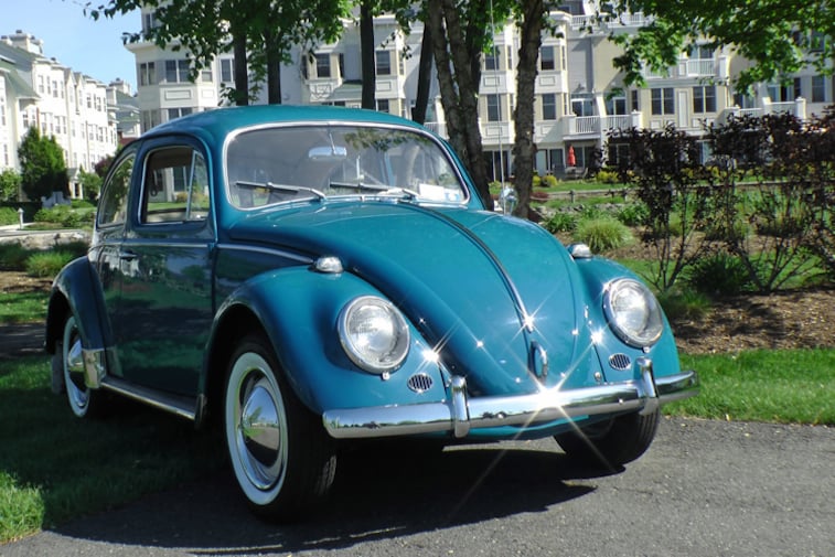 Zelectric Bug