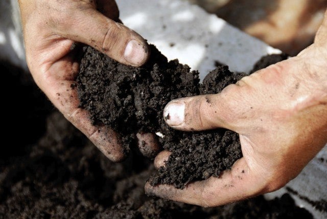A farmer works the soil
