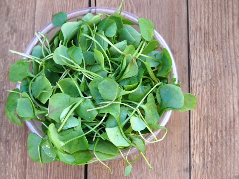 6 Delicious Ways to Eat Watercress, the Wonder Green