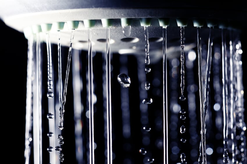 shower head