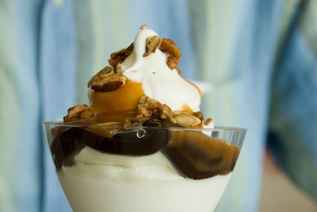 parfait, turtle