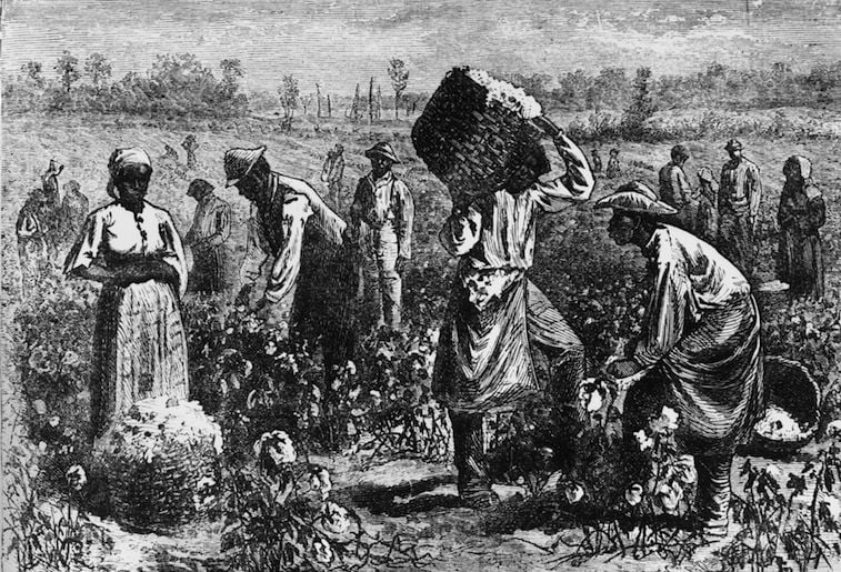 A black-and-white image of slaves picking cotton