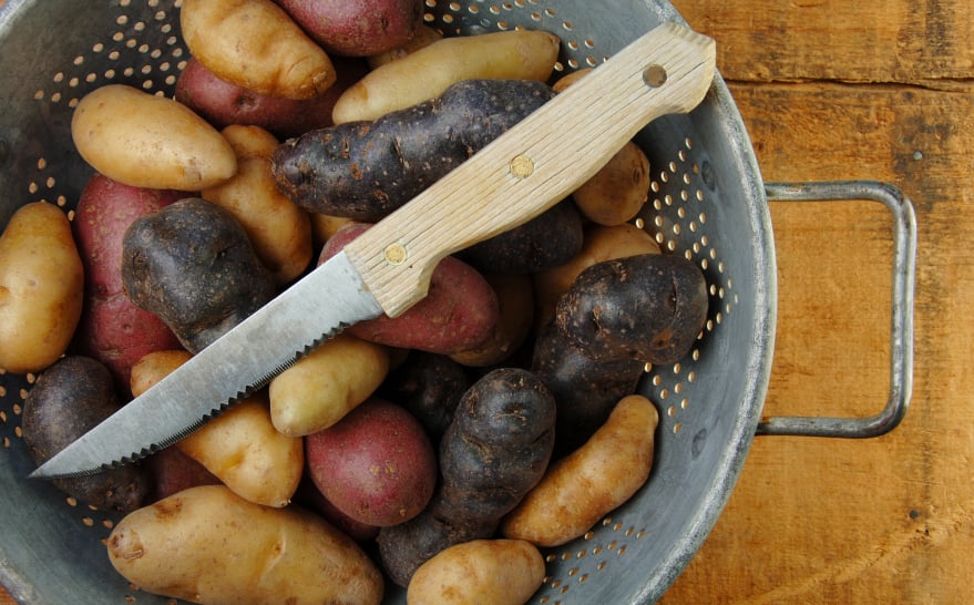 Fingerling Potatoes