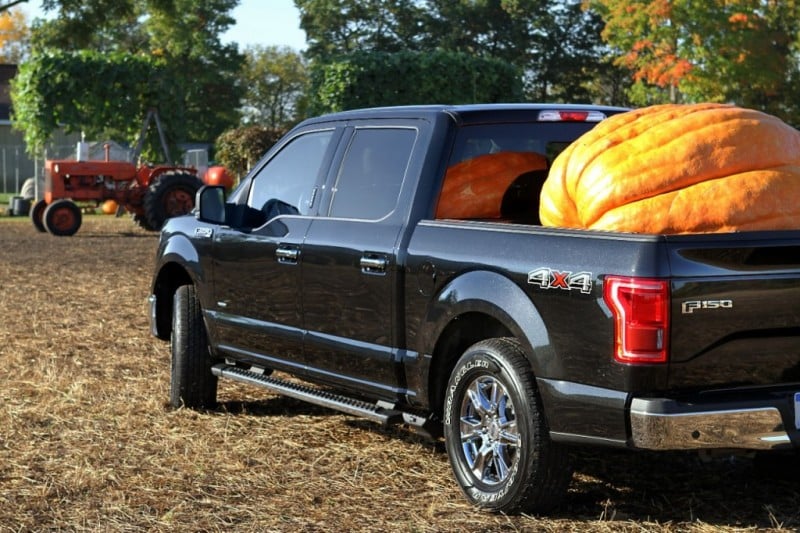 f150-pumpkin05