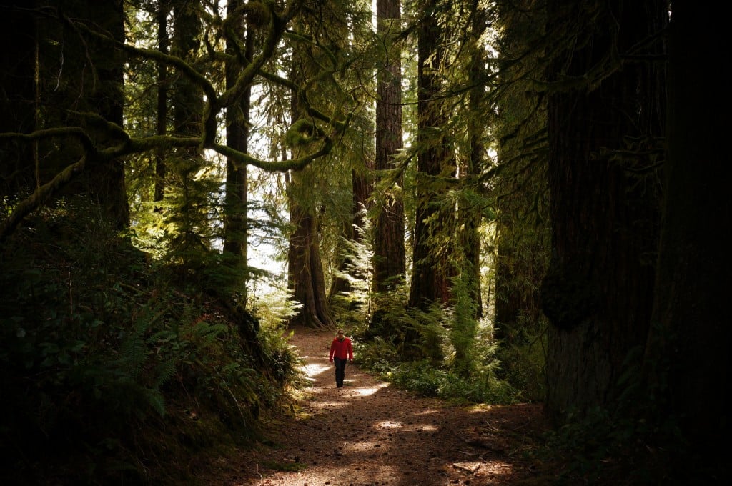 a man walking through the woods