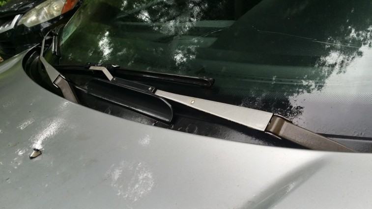Car windshield wipers