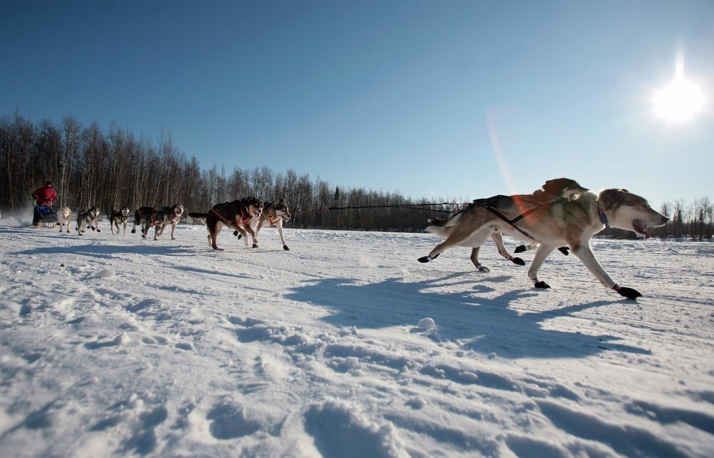 Source: Jim Watson/AFP/Getty Images