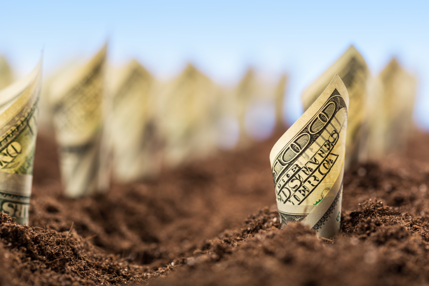 money growing out of the ground