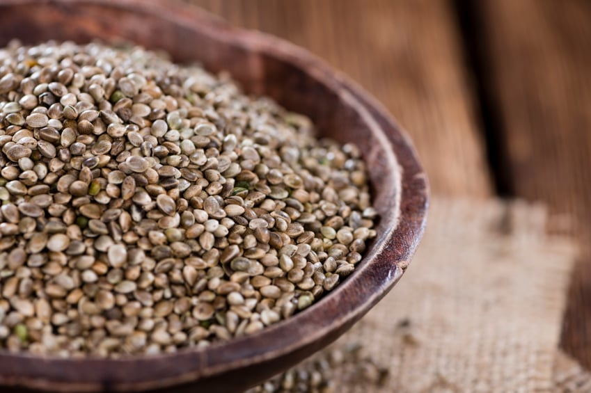 hemp seeds hemp seeds