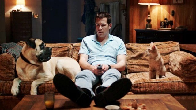 Ryan Reynolds on a couch with a dog and a cat. Ryan Reynolds on a couch with a dog and a cat.