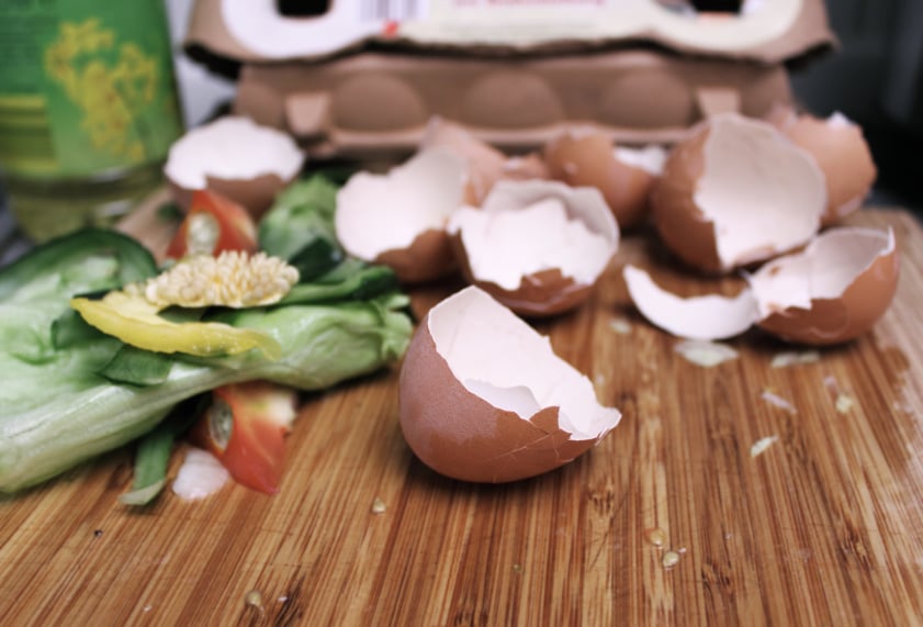 eggs shells