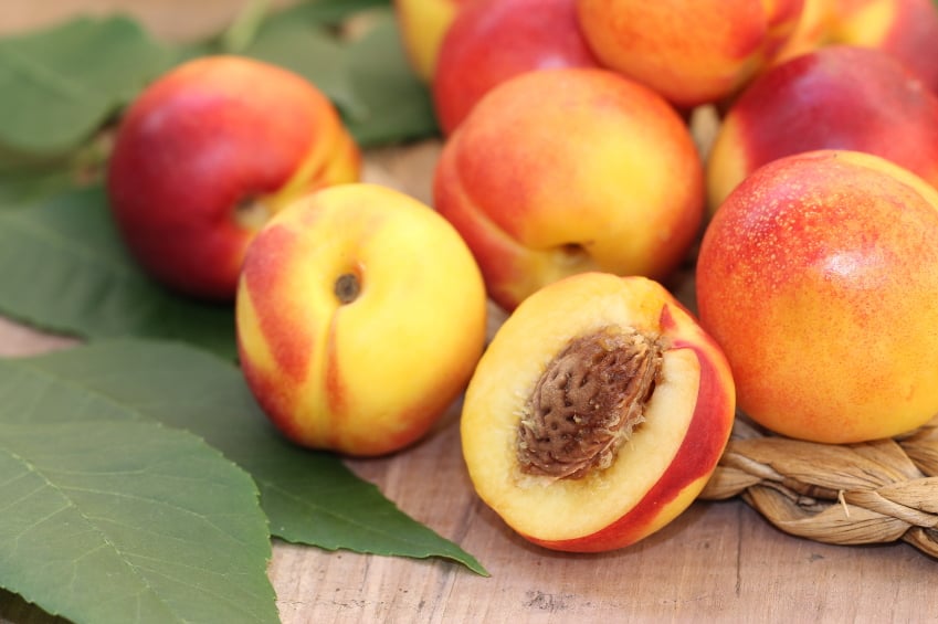 nectarines