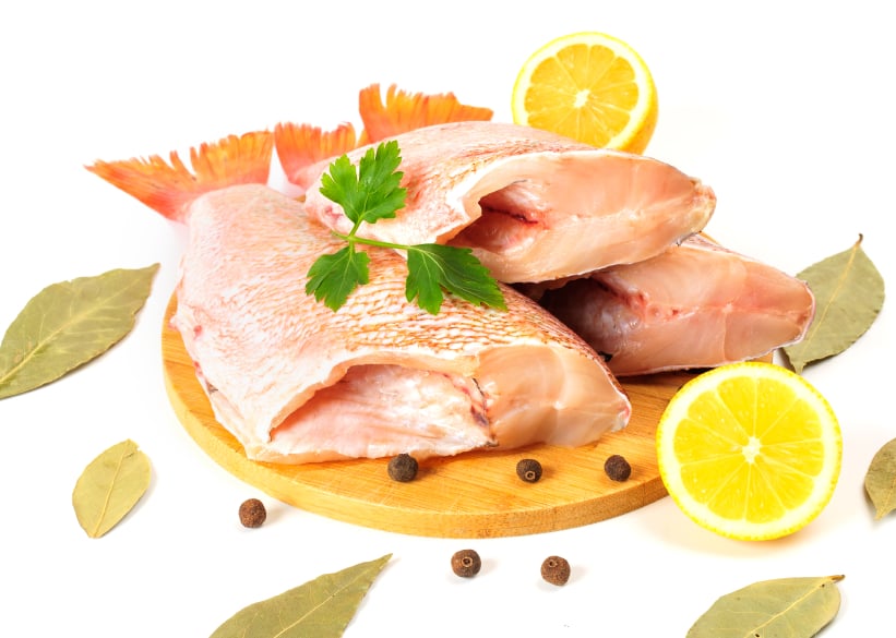 grouper, fish