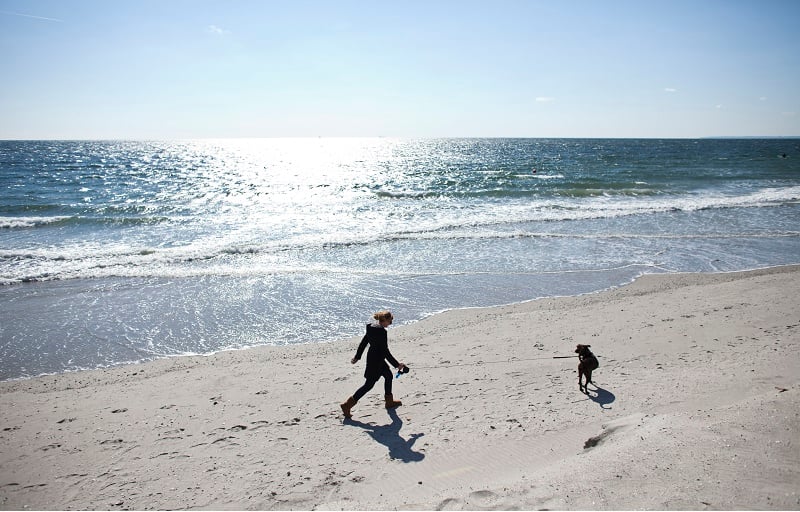 NEW YORK - OCTOBER 26: A woman walks her dog on the Rockaway Beach on October 26, 2013 in the Queens borough of New York City. Hurricane Sandy made landfall last year on October 29th near Brigantine, New Jersey and affected 24 states from Florida to Maine and cost the country an estimated $65 billion. (Photo by Ramin Talaie/Getty Images)