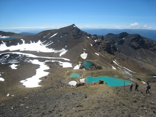 Kauri Adventure Tour