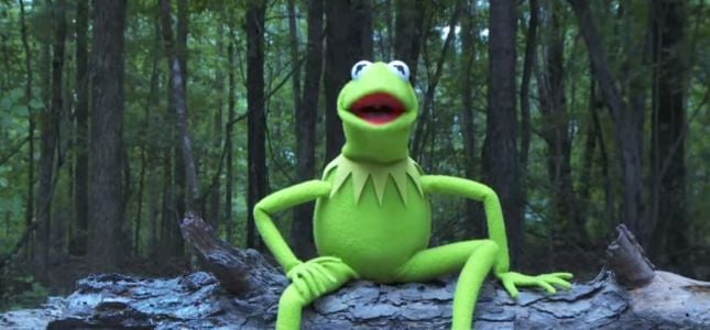 Kermit the frog