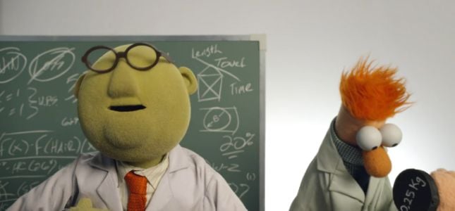 The Muppets