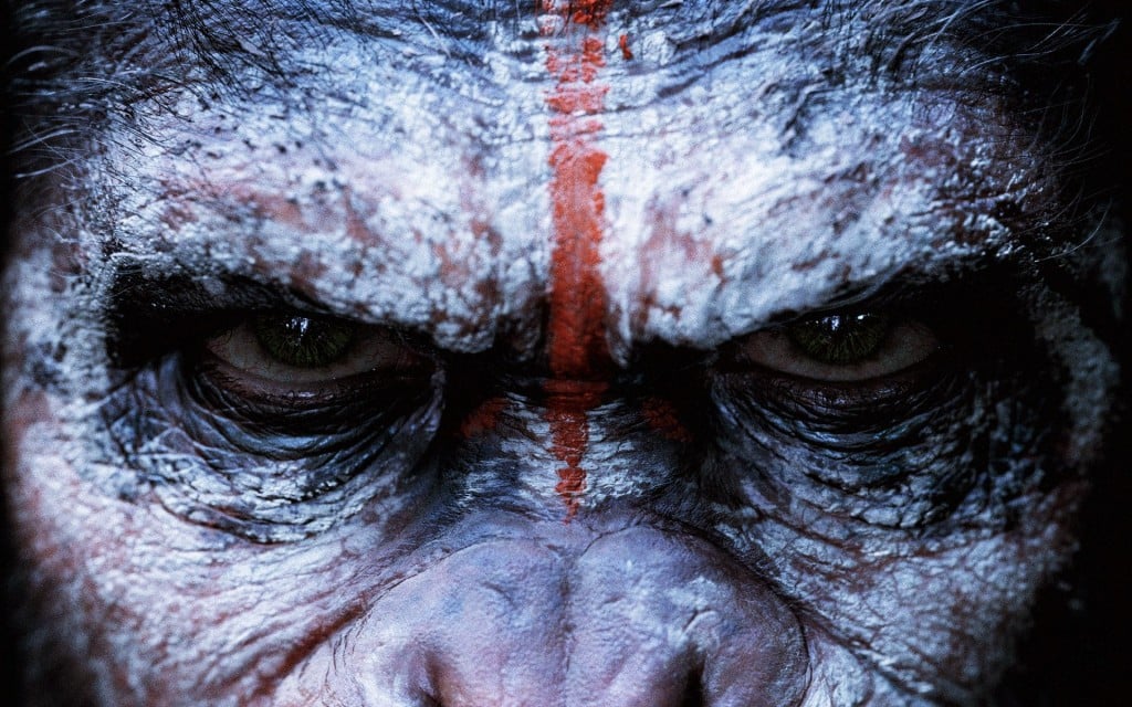 A close up of Caesar's eyes in Dawn of the Planet of the Apes