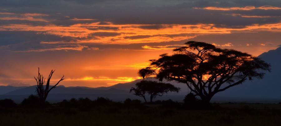 Kenya, sunset