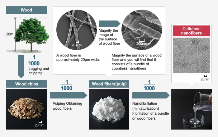Source: Nippon Paper Group