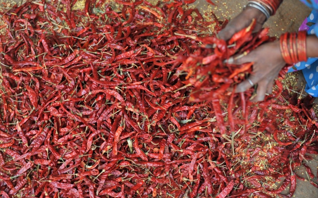 dried peppers 