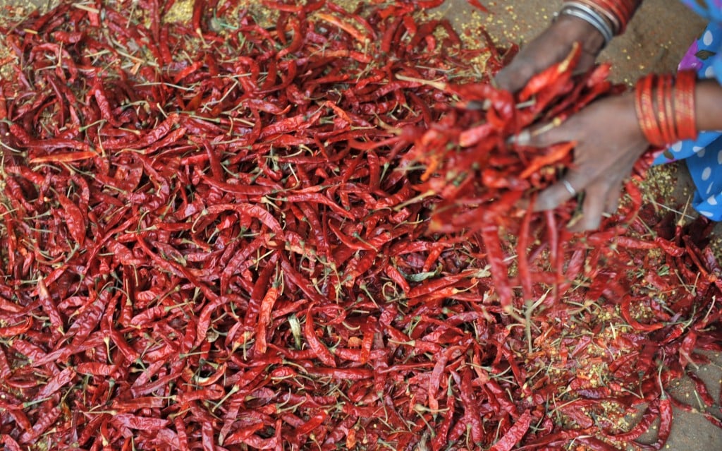 dried peppers